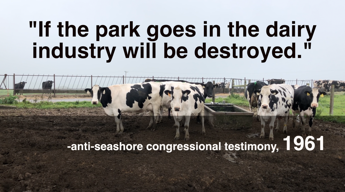 #testimony #ranchersagainsttheseashore #pointreyes #truehistory #rancherslieforprofit #dairy #dairytruth #pointreyesnationalseashore #ranching #ranch #shameofpointreyes #congress 